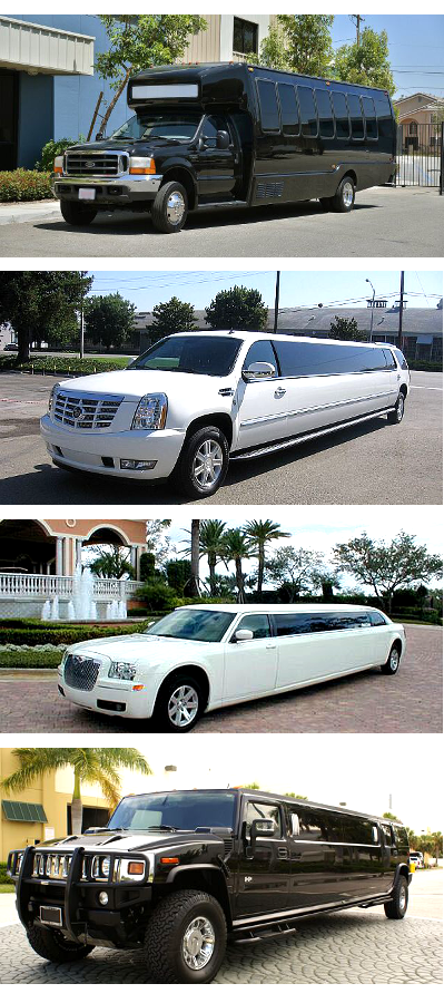 Party Buses and Limos South Carolina