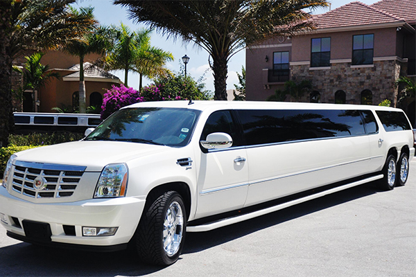 Columbia 20 Passenger Limo